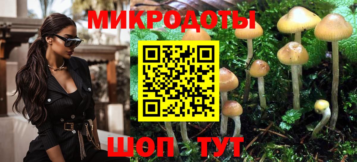 Киселёвск  Галлюциногенные грибы мицелий  Вход с VPN 